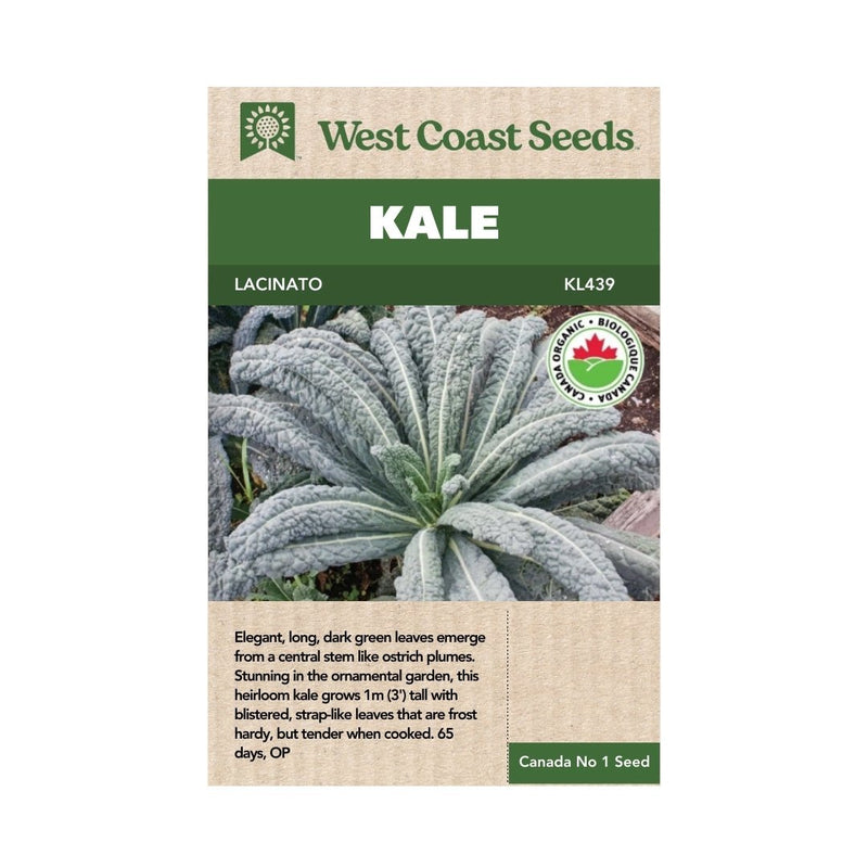 Kale - Lacinato Kale Seeds 1g (Approx. 328 Seeds) - Indoor Farmer