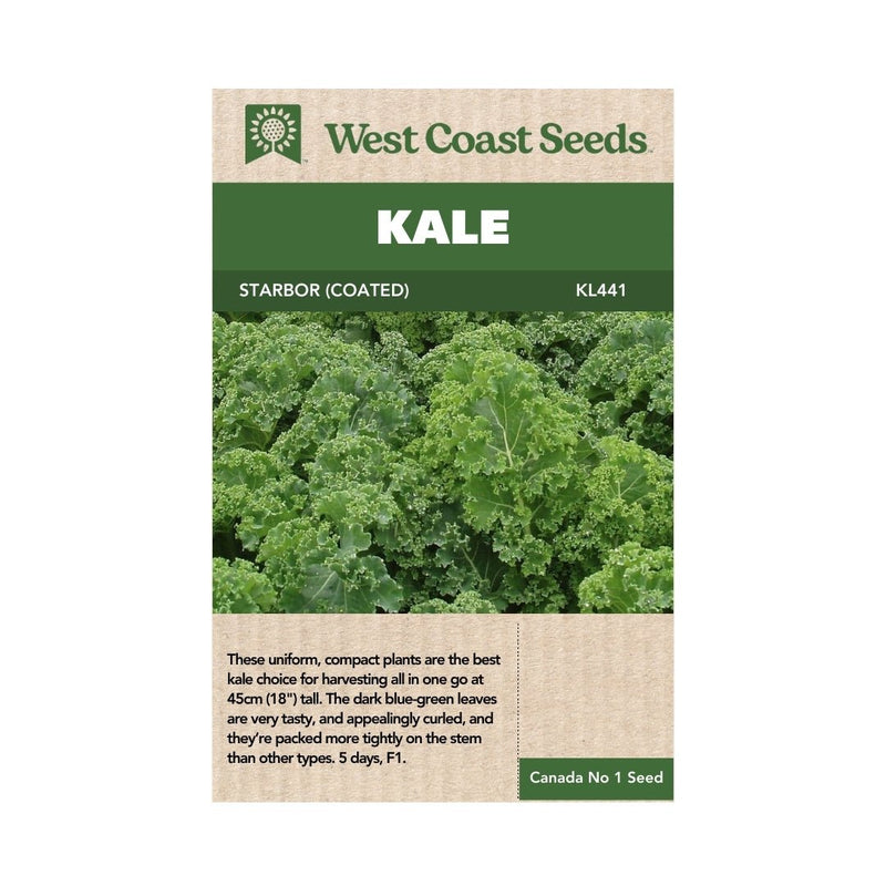 Kale - Starbor Kale Seeds 0.15g (Approx. 50 Seeds) - Indoor Farmer