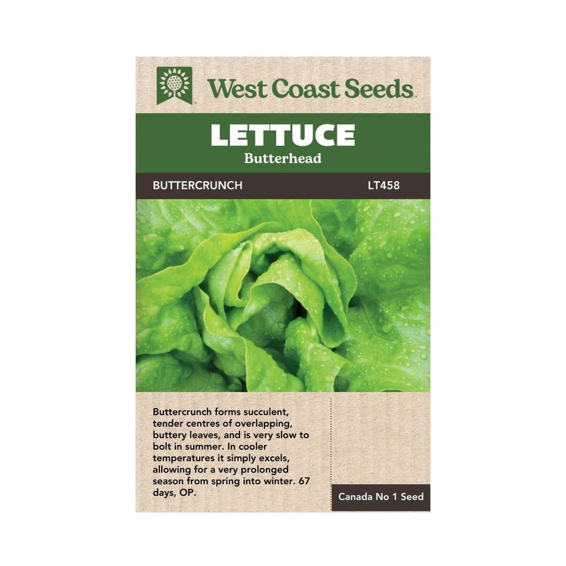 Lettuce - Buttercrunch Lettuce Seeds 1g (Approx. 1000 seeds) - Indoor Farmer