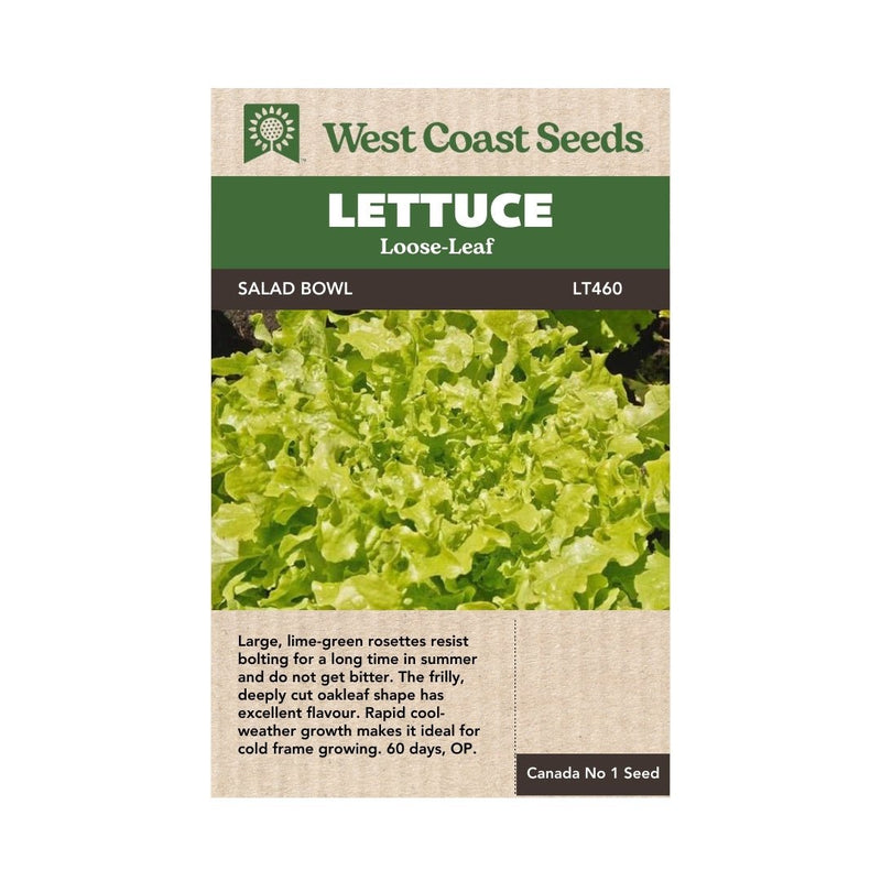 Lettuce - Green Salad Bowl Lettuce Seeds 1g (Approx. 1050 seeds) - Indoor Farmer