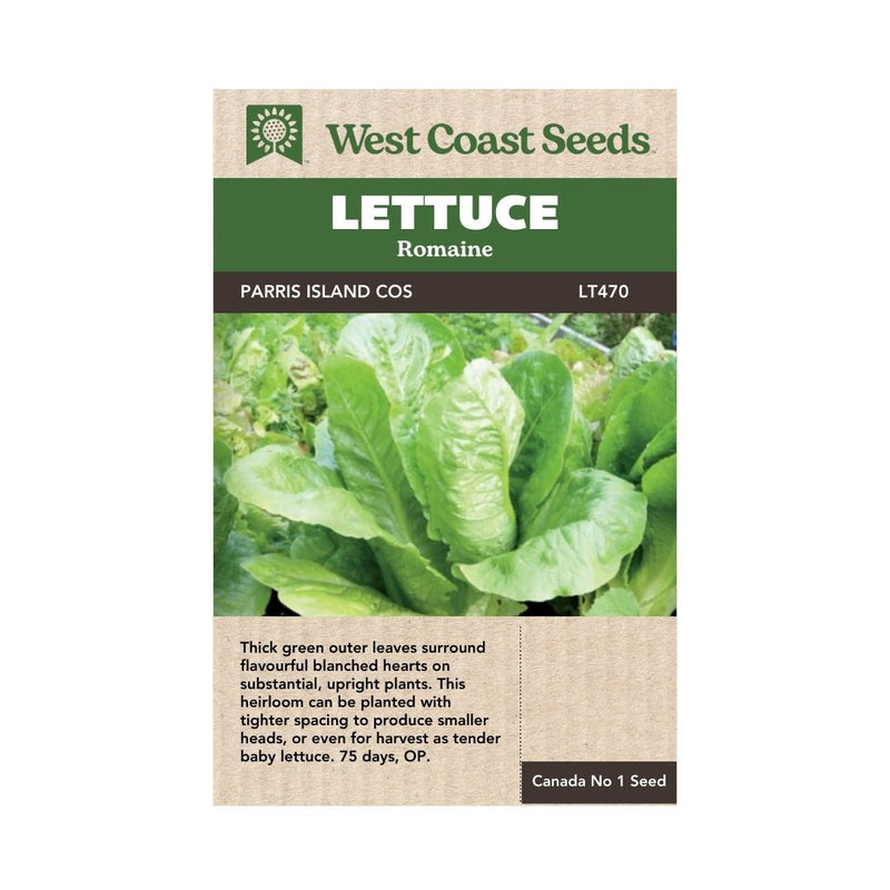 Lettuce - Parris Island Cos Romaine Seeds 0.5g (Approx. 525 seeds) - Indoor Farmer