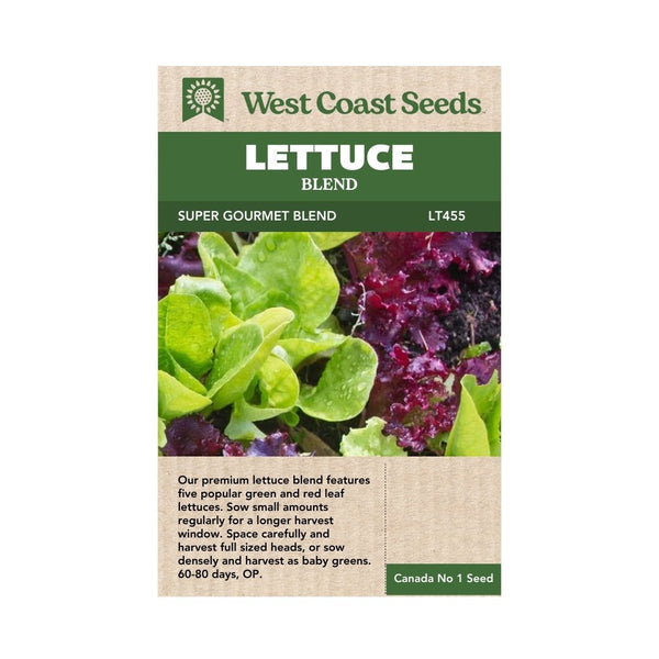 Lettuce - Super Gourmet Salad Blend Seeds 3g - Indoor Farmer