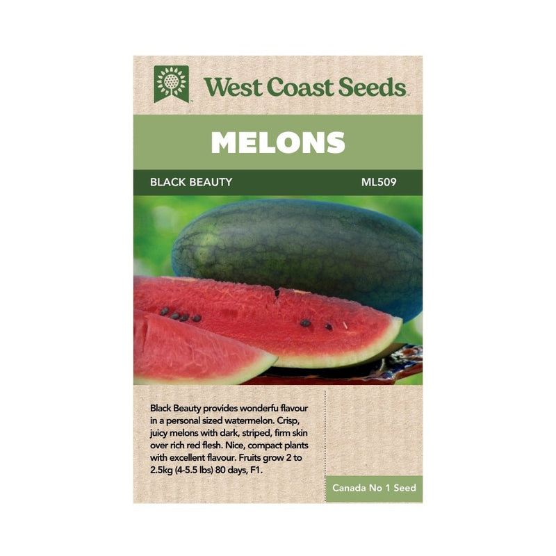 Melons - Black Beauty Mini Watermelon Seeds 0.5g (Approx. 12 seeds) - Indoor Farmer