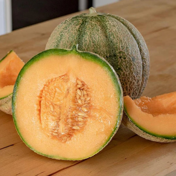 Melons - Halona Cantaloupe Seeds 0.3g (Approx. 12 seeds) - Indoor Farmer