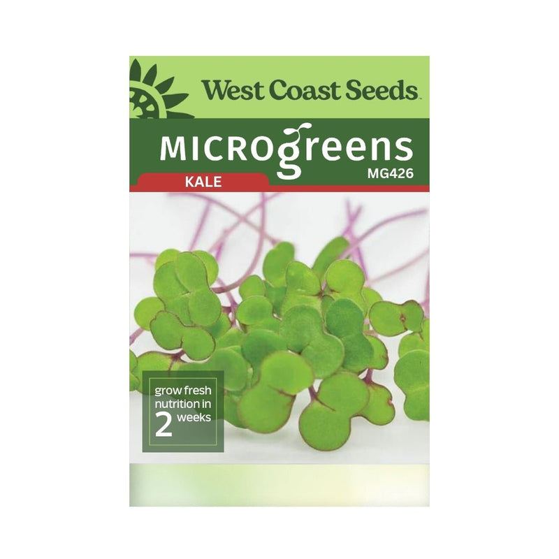 Microgreens - Kale Microgreen Seeds 50g - Indoor Farmer