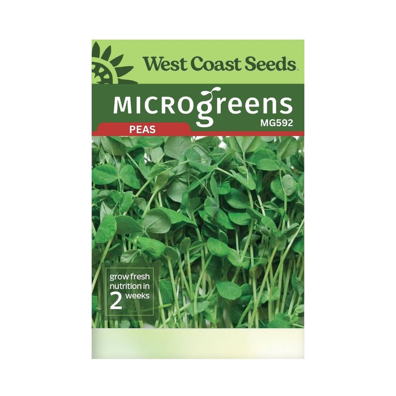 Microgreens - Pea Shoot Microgreen Seeds 200g - Indoor Farmer