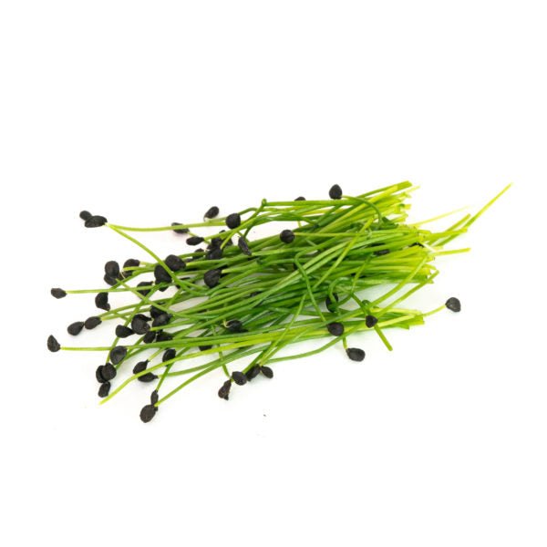 Mumm's Sprouting Seeds Garlic Chives 75g - Indoor Farmer