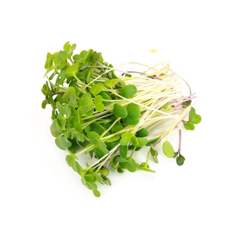 Mumm's Sprouting Seeds Mellow Microgreen Mix - Indoor Farmer