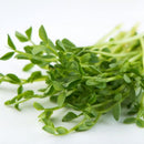 Mumm's Sprouting Seeds Peas, Green 125g - Indoor Farmer