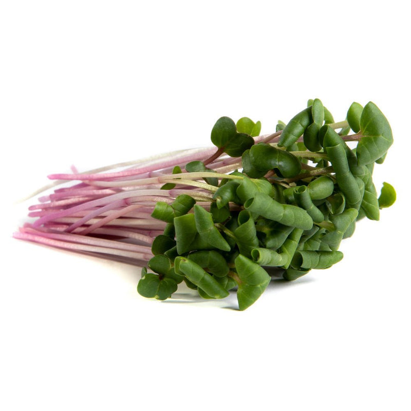 Mumm's Sprouting Seeds Radish, Triton 100g - Indoor Farmer