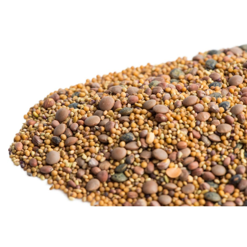 Mumm's Sprouting Seeds Spicy Lentil Crunch 125 g - Indoor Farmer