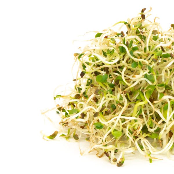 Mumm's Sprouting Seeds Spring Salad Mix 100g - Indoor Farmer