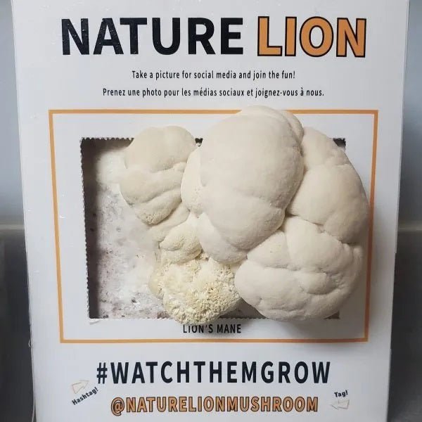 NatureLion Lion's Mane Mushroom Grow Kit - Indoor Farmer