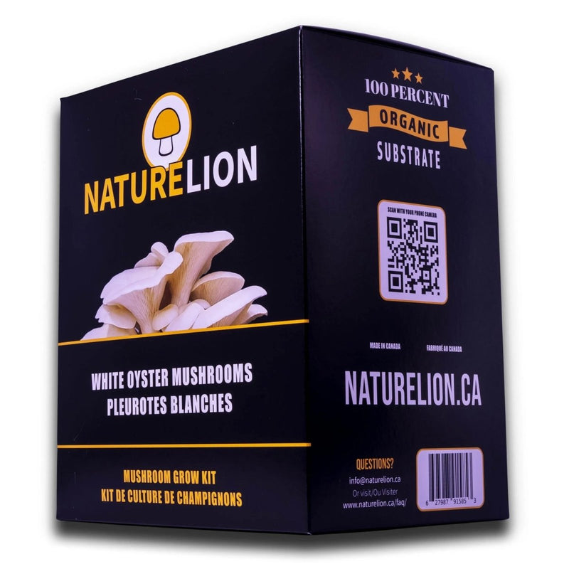 NatureLion White Oyster Mushroom Grow Kit - Indoor Farmer