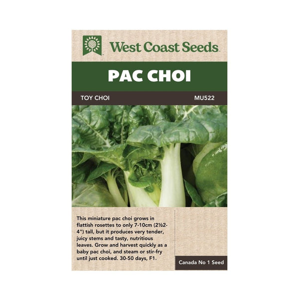 Pac Choi - Toy Choi Pac Choi Seeds 0.25g (Approx. 175 seeds) - Indoor Farmer