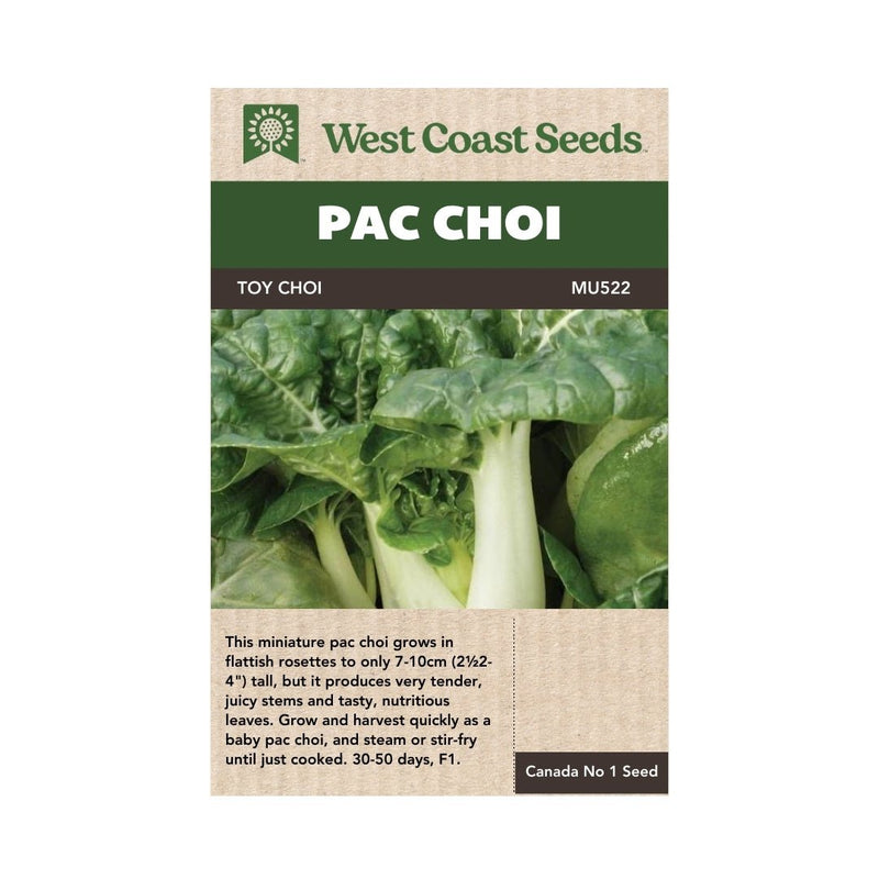 Pac Choi - Toy Choi Pac Choi Seeds 0.25g (Approx. 175 seeds) - Indoor Farmer