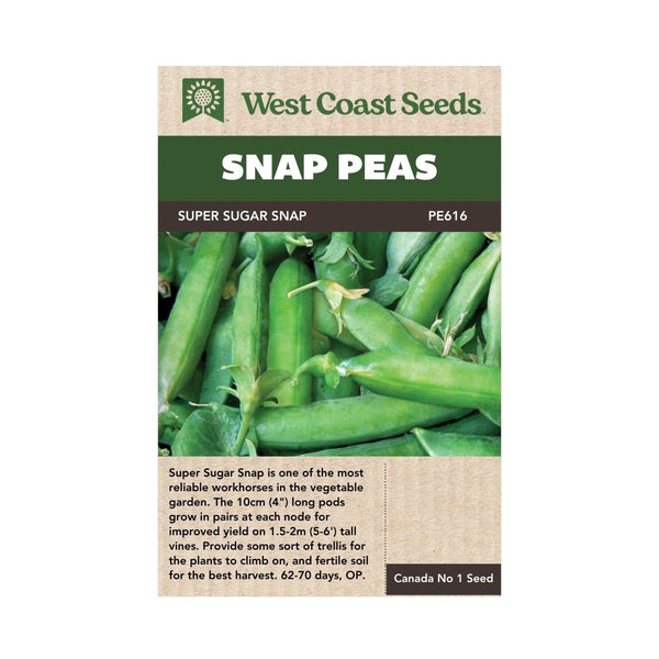 Peas - Super Sugar Snap Pea Seeds 25g (Approx. 107 seeds) - Indoor Farmer