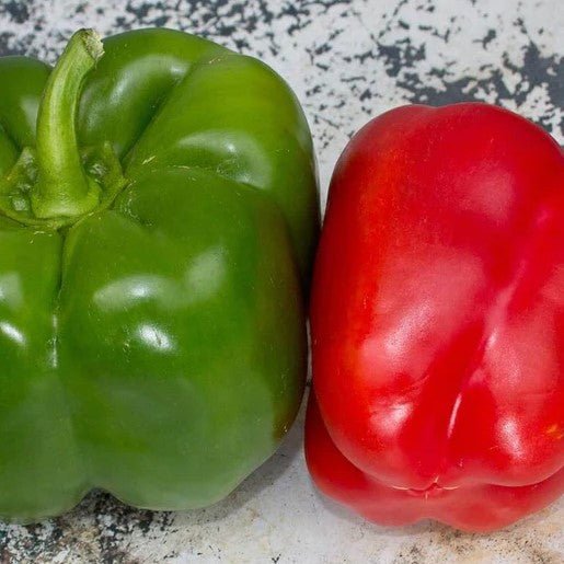 Peppers - California Wonder Pepper Seeds 0.25g (Approx. 38 seeds) - Indoor Farmer