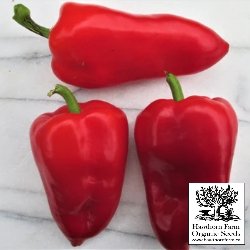 Peppers - Lipstick Seeds 30 Seed Packet - Indoor Farmer