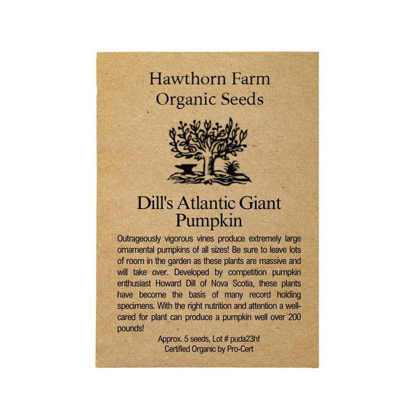 Pumpkin - Dill's Atlantic Giant Pumpkin Seeds 5 Seed Packet - Indoor Farmer