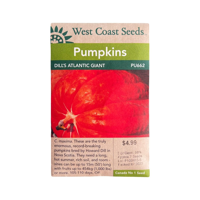 Pumpkin - Dill's Atlantic Giant Pumpkin Seeds 3g (Approx. 9 seeds) - Indoor Farmer