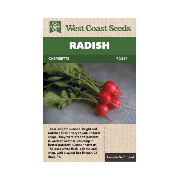 Radish - Cherriette Radish Seeds - Indoor Farmer