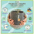 Root Pouch Boxer Brown Fabric Grow Bag with Handles - 30 Gallon - Indoor Farmer