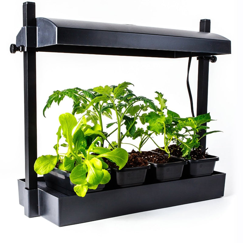 Sunblaster Growlight Garden Micro LED - Indoor Farmer