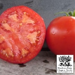 Tomatoes - Druzba Seeds 50 Seed Packet - Indoor Farmer