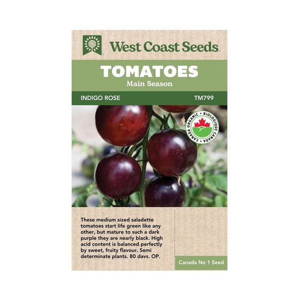 Tomatoes - Indigo Rose Organic Seeds 20 Seeds - Indoor Farmer