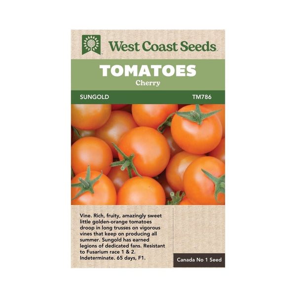 Tomatoes - Sungold Cherry Tomato Seeds - Indoor Farmer