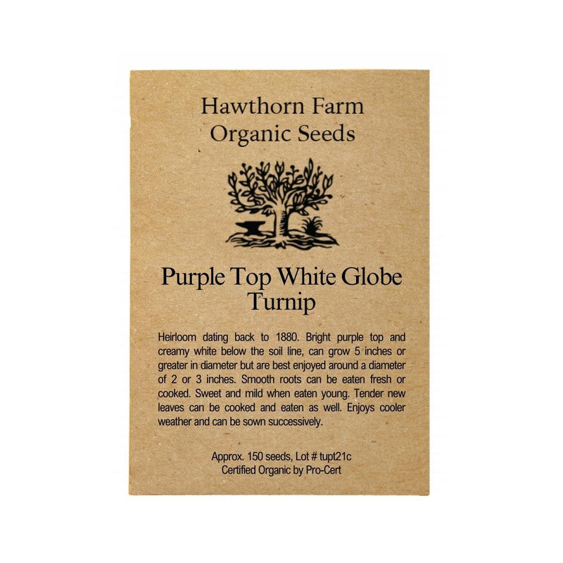 Turnip - Purple Top White Globe Seeds 150 Seed Packet - Indoor Farmer