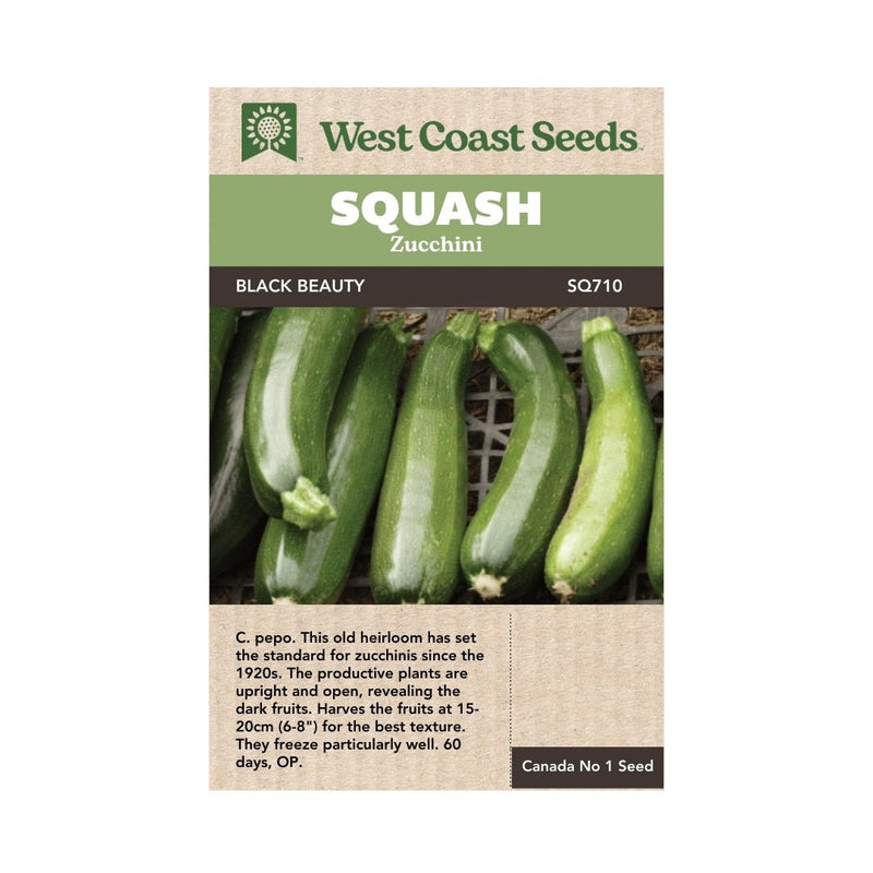 Zucchini - Black Beauty Zucchini Seeds 2g (Approx 16 seeds) - Indoor Farmer